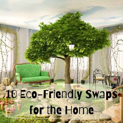 10 Eco-Friendly Swaps for the Home